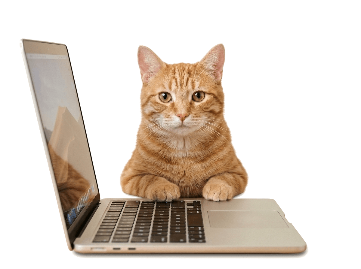 A charming real ginger cat sitting behind a laptop with paws on the keyboard